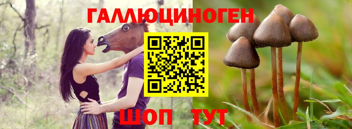 Псилоцибиновые грибы мухоморы  Псилоцибиновые грибы Magic Shrooms  Ессентуки  наркошоп  Вход с VPN 